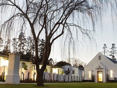 Stellenbosch Weddings, Stellenbosch wedding venue, Brenaissance, Stellenbosch's Devon Valley venue, Blossom wedding, Couple shoot blossoms, Brenaissance Stellenbosch's Devon Valley Brenaissance Wedding