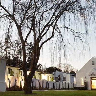 Stellenbosch Weddings, Stellenbosch wedding venue, Brenaissance, Stellenbosch's Devon Valley venue, Blossom wedding, Couple shoot blossoms, Brenaissance Stellenbosch's Devon Valley Brenaissance Wedding